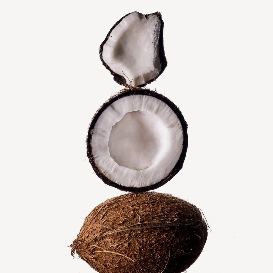 نت نارگیل