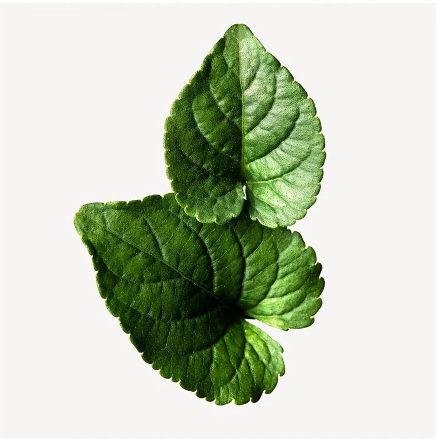 نت های سبز