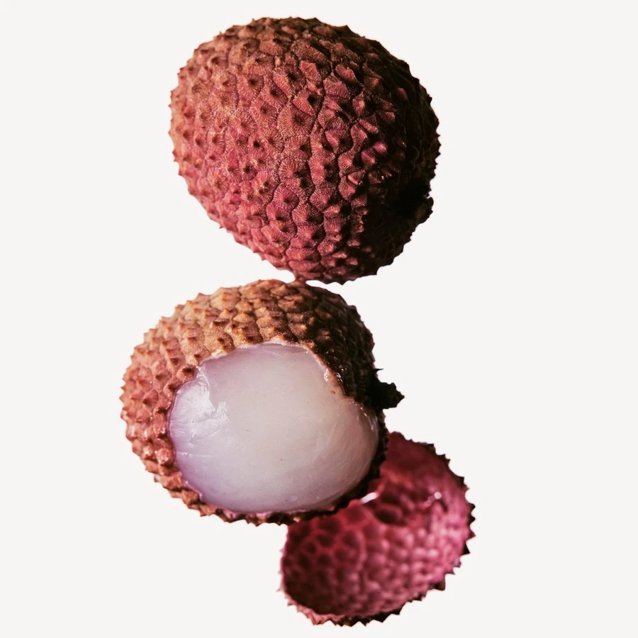 نت لیچی