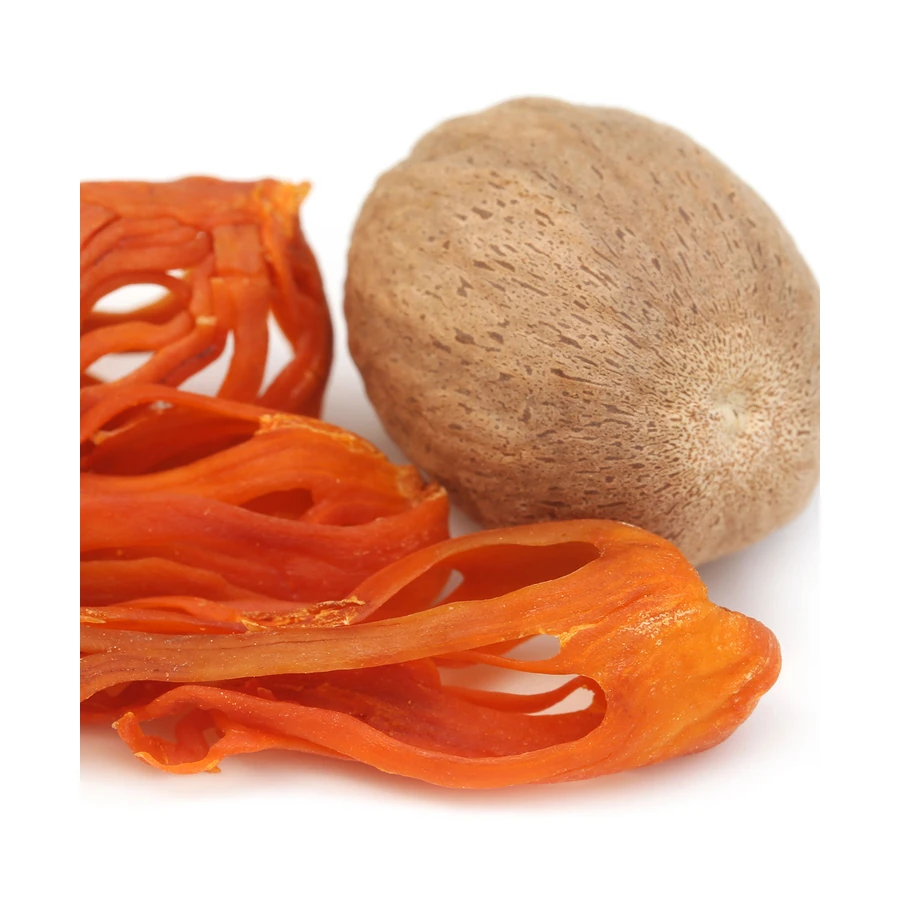 نت گل جوزهندی