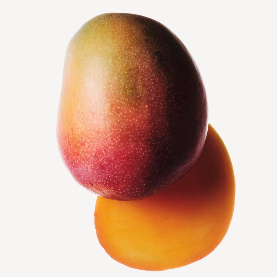 نت انبه