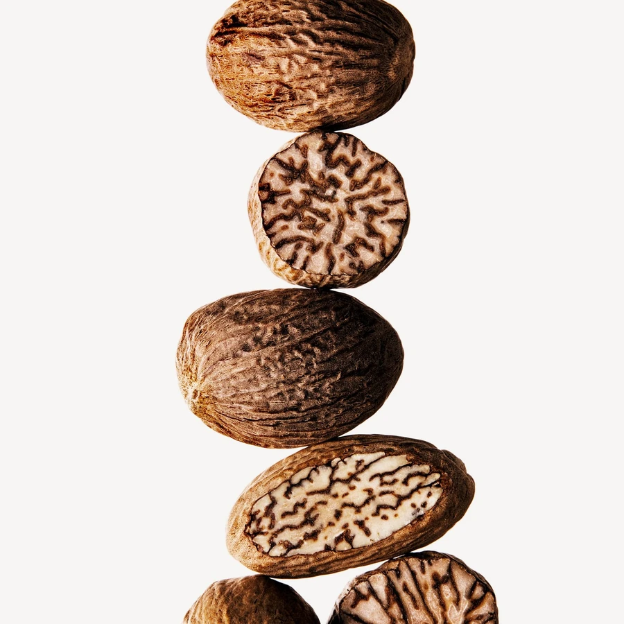 نت جوزهندی