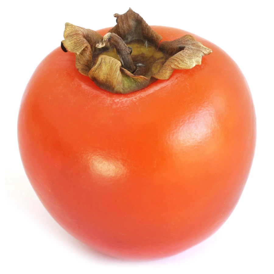 نت خرمالو