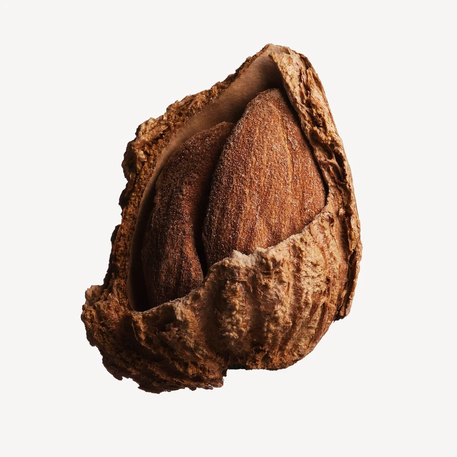 نت بادام شیرین