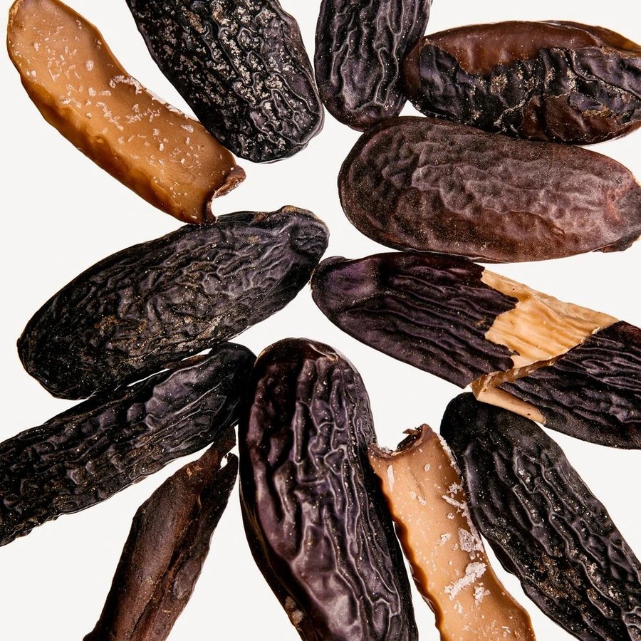 دانه تونکا